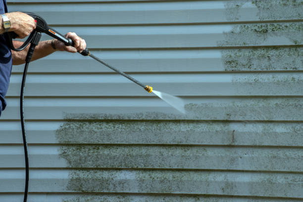 Best Exterior Home Cleaning  in Cedar Hill, MO
