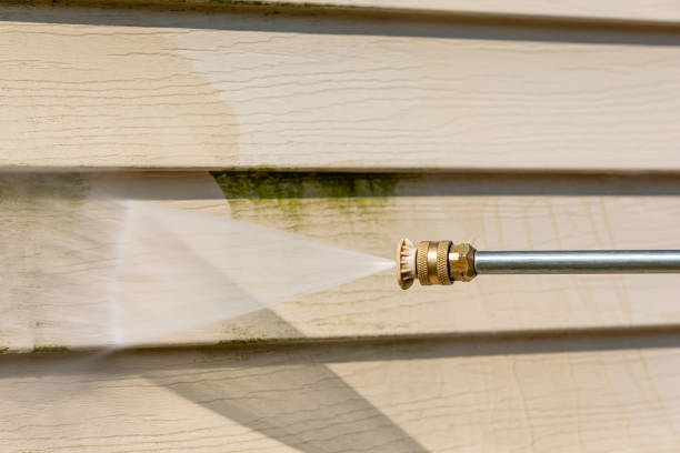 Best Pressure Washing Company Near Me  in Cedar Hill, MO